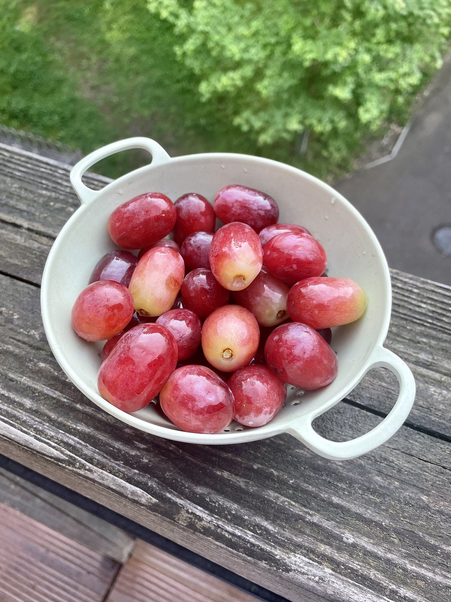 Giant grapes? Or teeny tiny colander? Either way, the pupils at <a href="/StMichaels_Prep/">St Michael's Prep</a> loved eating them as part of their rainbow fruit kebabs! 🍇 

#accentcateringnutrition #accentcatering #EatTheRainbow #nutritioneducation #biggrapesforthewin