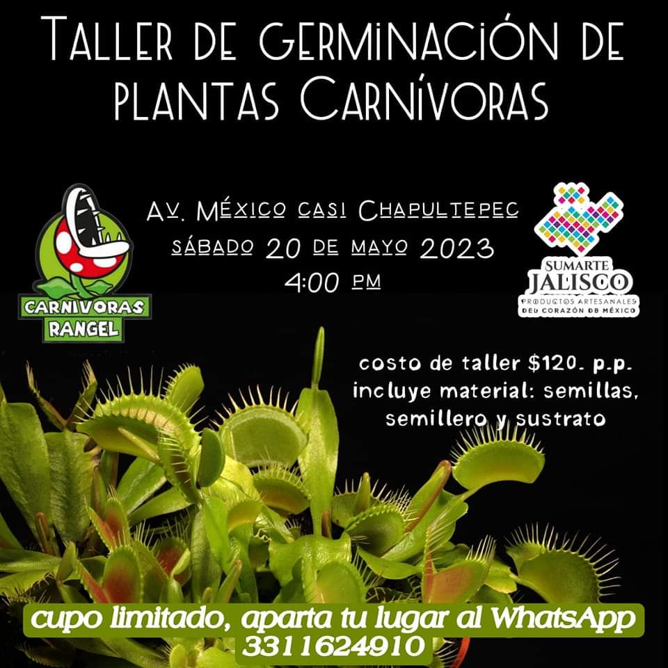 SumarteJalisco tweet media