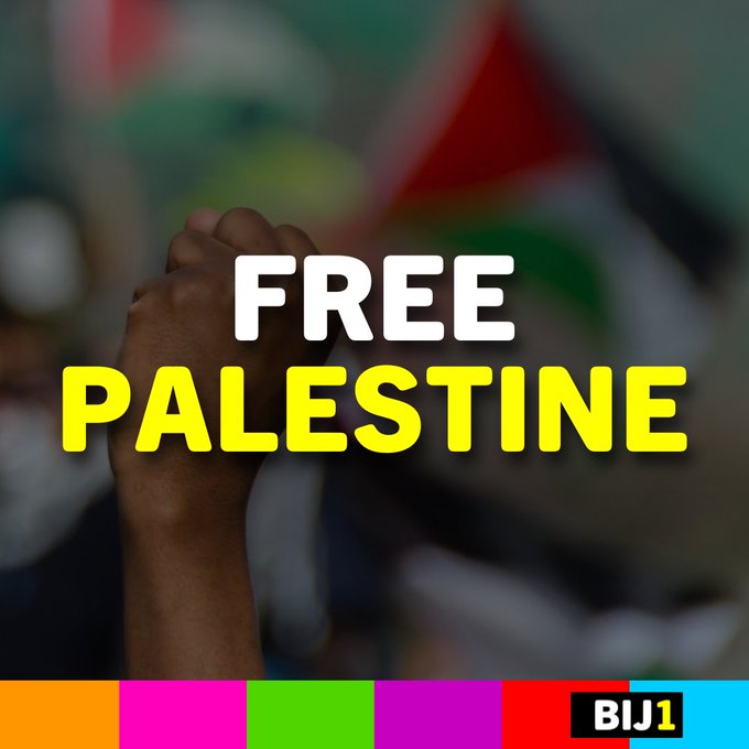 Afbeelding van een vuist ik de lucht, met daar achter de Palestijnse vlag. Op de voorgrond de tekst 'Free Palestine'