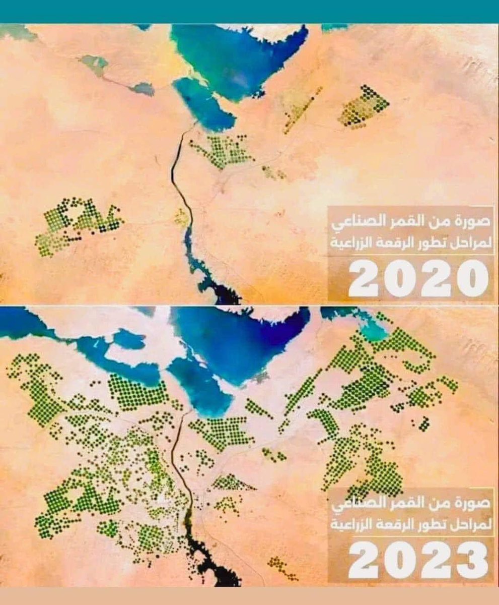 متع نظرك واتمني الخير لمصر  واشكر ربنا علي نعمة وجود السيسي
