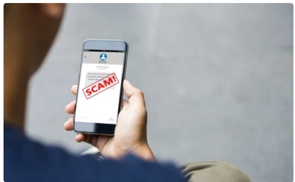 Investor19758 tweet media