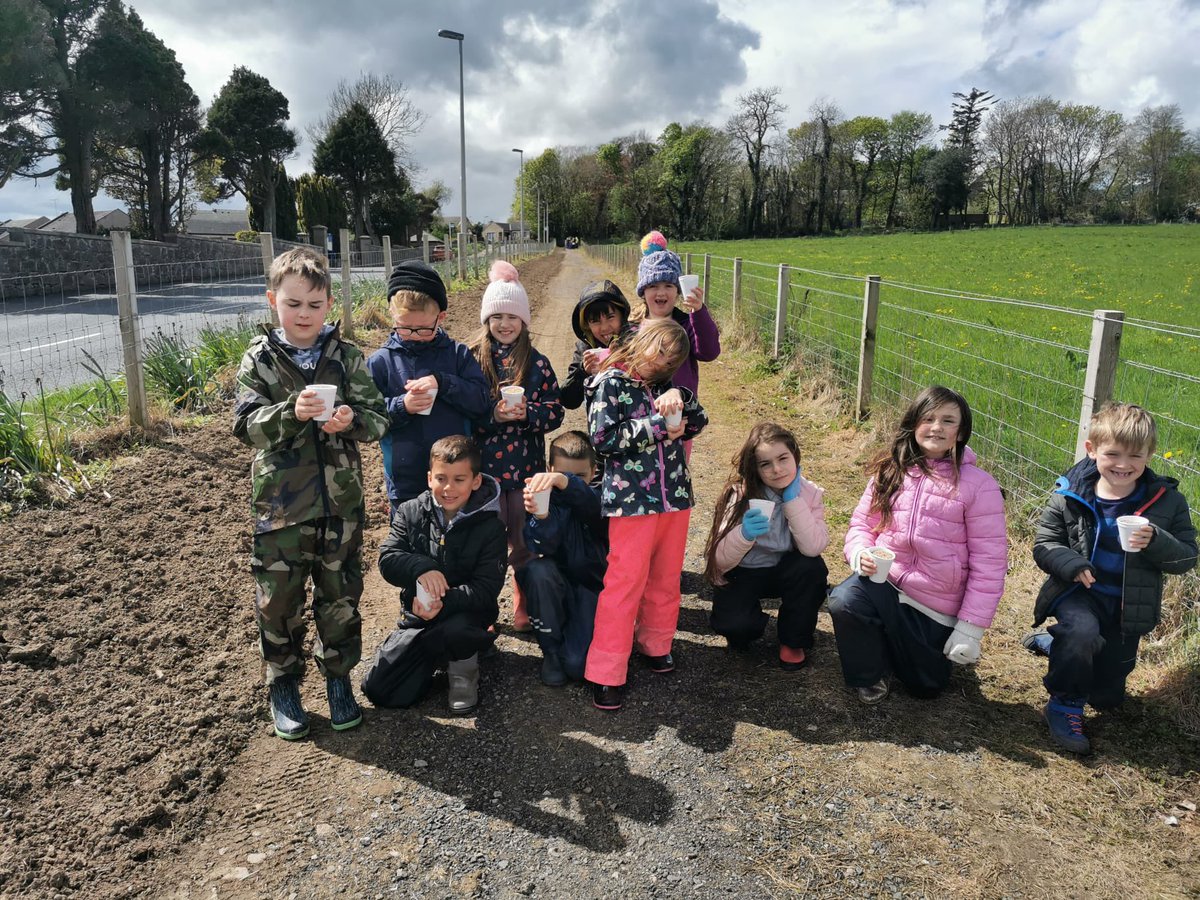 Tarves Primary School and Nursery tweet media