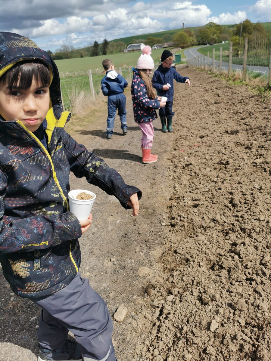 Tarves Primary School and Nursery tweet media