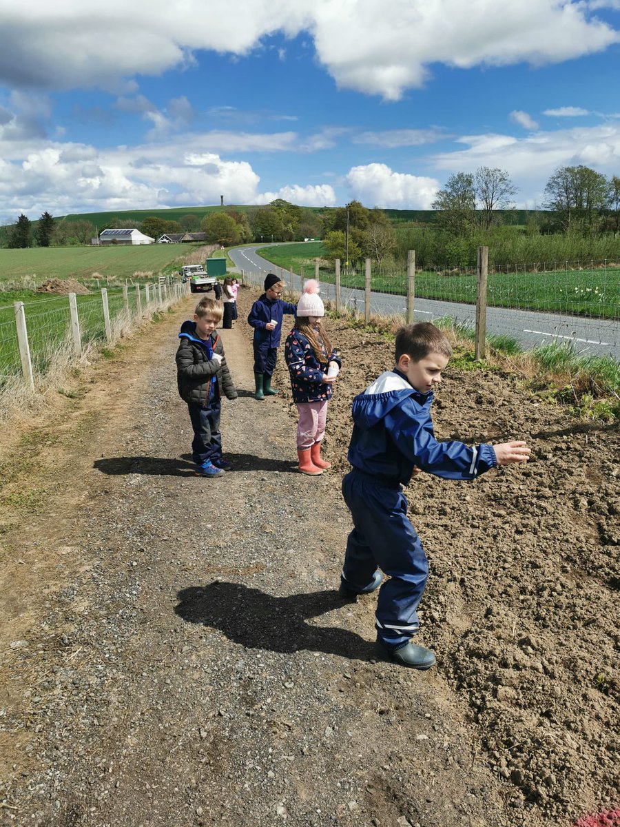 Tarves Primary School and Nursery tweet media
