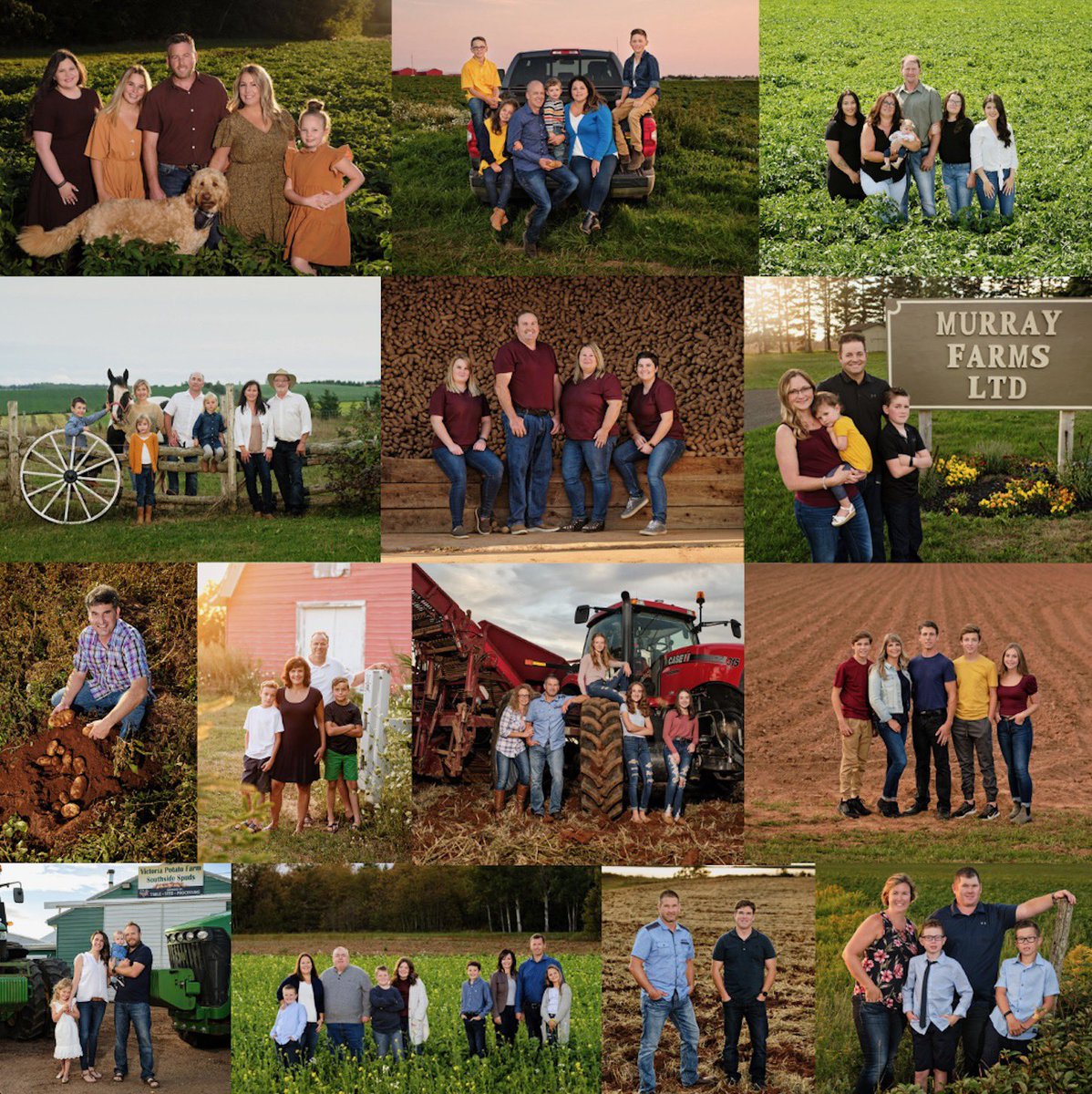EPAA_pei's tweet image. Introducing #MemberMonday! 🧑‍🌾

Follow along as we introduce you to our 14 innovative farm families who are leading the way in sustainable agriculture on PEI. 

Get ready for some farm-tastic #PEIAg content each week. First stop, Smith Farms Ltd.! 🥔