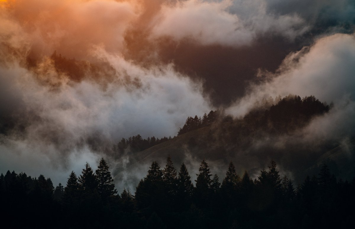 gmunk's tweet photo. Fog season is approaching in the Bay Area and the #InfraMunk is getting ready โย it's my favorite time of year. ๐ถโ๐ซ๏ธ๐จ https://t.co/xfMeOeXyCm