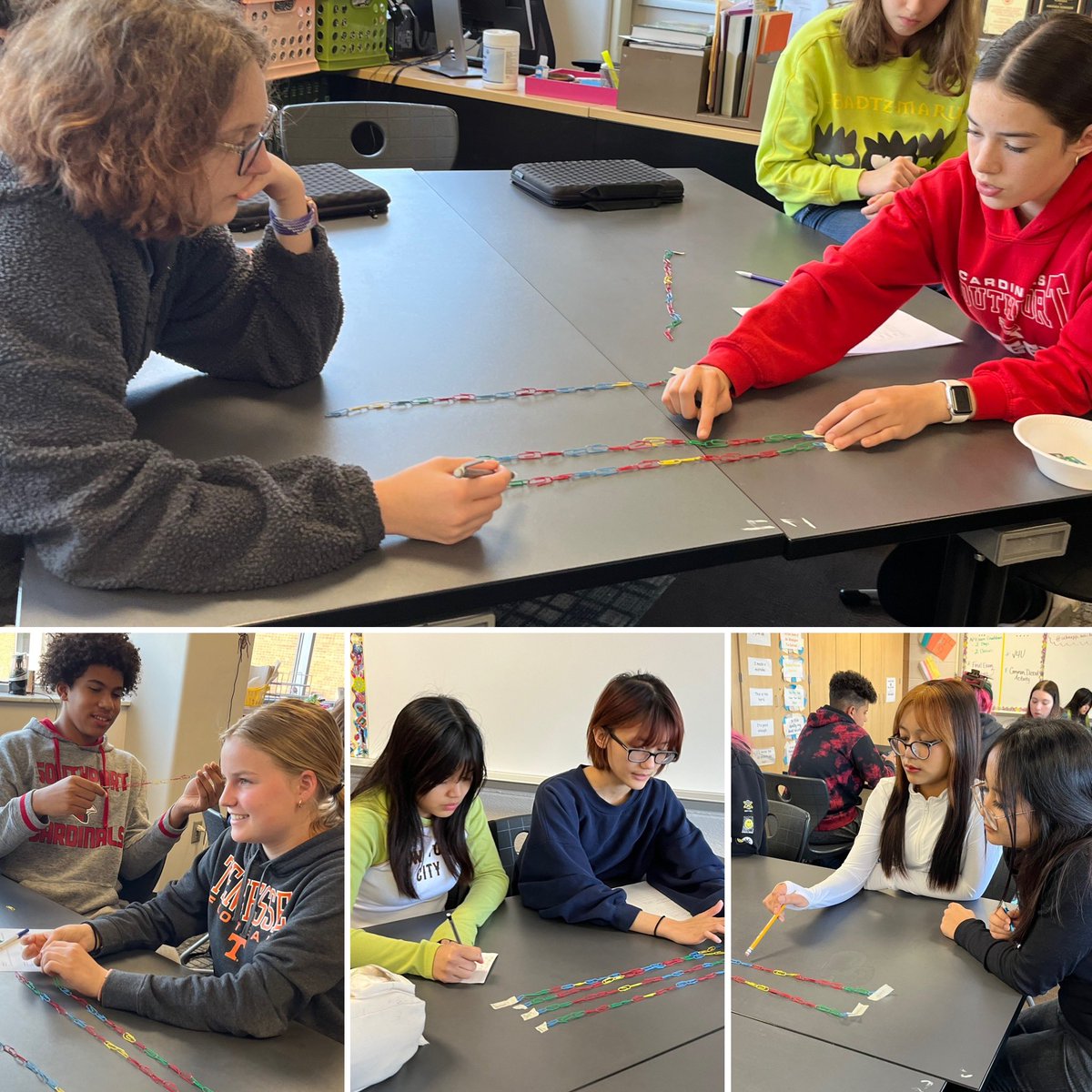 After a week of I-LEARN testing, biology students are back to learning about phylogeny and using both morphological and molecular evidence to determine the relatedness of different species.
