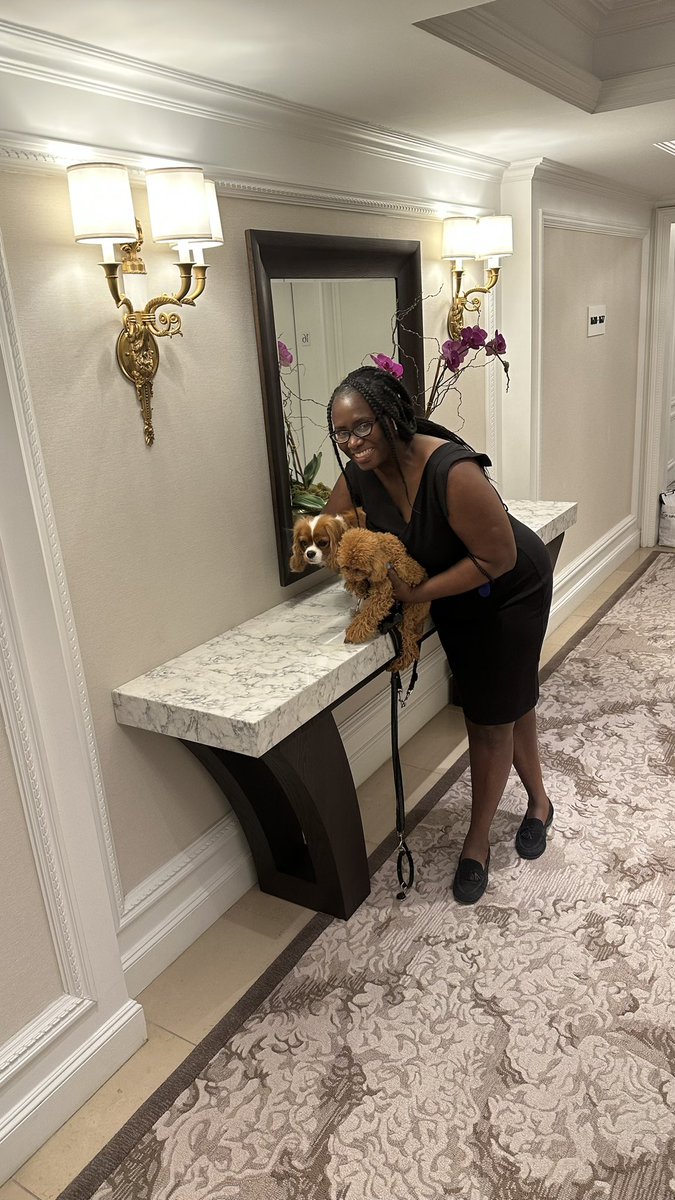 dog sitting at work…. Who told them I am a dog ❤️ <a href="/MadDogCarClub/">Mad Dog</a>