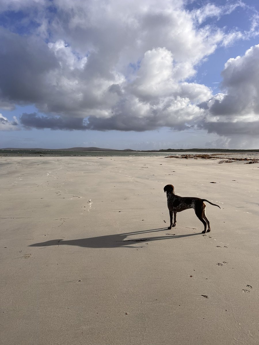 Timbercreate's tweet image. Waiting for the plane… 
There are not many places on the planet like this, where you can be 5mins from the arrivals lounge. Benbecula airport.
@BEBAirport @OuterHebs @VisitScotland