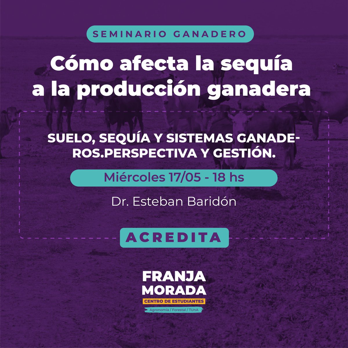 CEAF Franja Morada tweet media