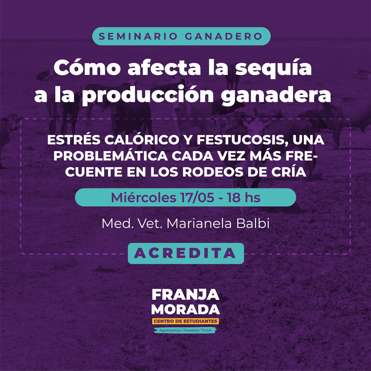 CEAF Franja Morada tweet media