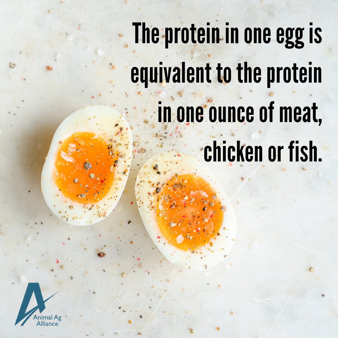 According to the USDA, one egg contains the same amount of protein as 1 oz. of meat, chicken, or fish! 🥚 #NationalEggMonth bit.ly/3kdjWmc