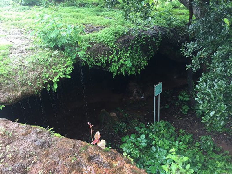 swetaaang's tweet photo. #thequizlabs #GoaQuiz -104- Where in Goa would you find these Buddhist caves? https://t.co/mabPkpdV07