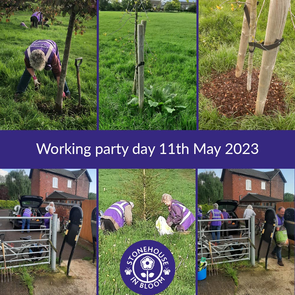 StonehouseBloom's tweet photo. Working Party Day 11th May - And there we were thinking the mulch mountain was going down! But, first we had to weed and clear around the base of all the trees in Meadow Road Park, before adding the mulch. "Did Somebody Say JUST Mulch?" #stonehousearboretum @RHSBloom @HOEInBloom https://t.co/q7JDsNV4eV