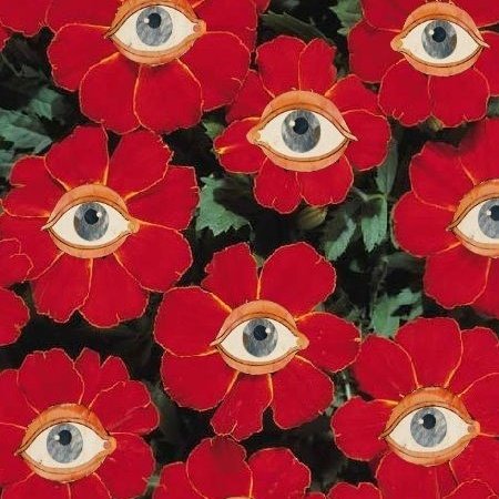 ★! ᵇᵘˢᶜᵃⁿᵈᵒ ᵃᵈᵐⁱˢ tweet media