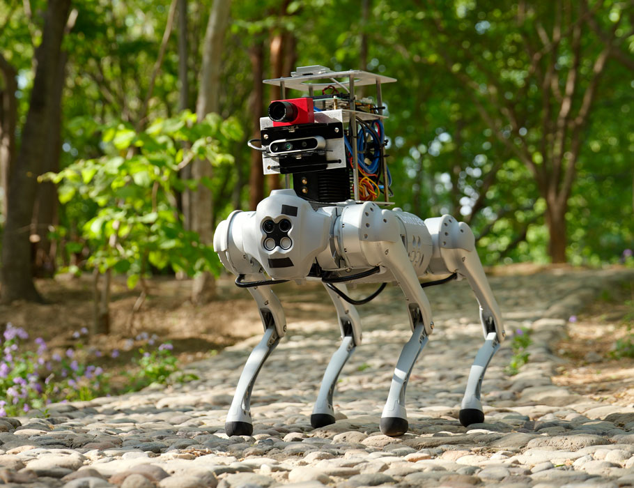 In addition to using standard vision sensors, a brain-inspired neural network also harnesses information from position, temporal, and direction sensors to aid robots in recognizing surroundings. <a href="/fangwen_yu/">Fangwen Yu</a> <a href="/CBICR_THU/">Center for Brain Inspired Computing Research THU</a>

Learn more: scim.ag/2CM