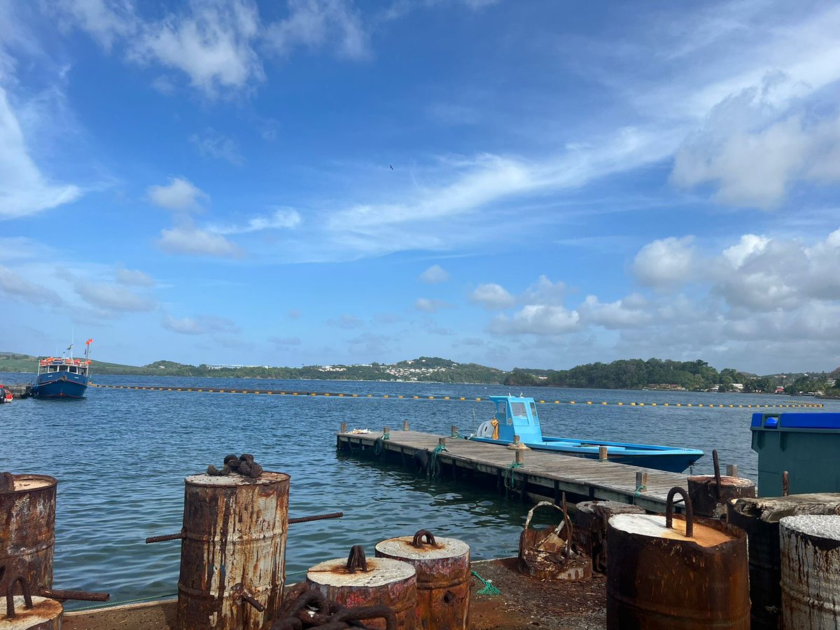 Préfet de la Martinique tweet media