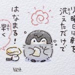 火曜日は洗顔ミッション!顔を洗えただけではなまるのコウペンちゃん!