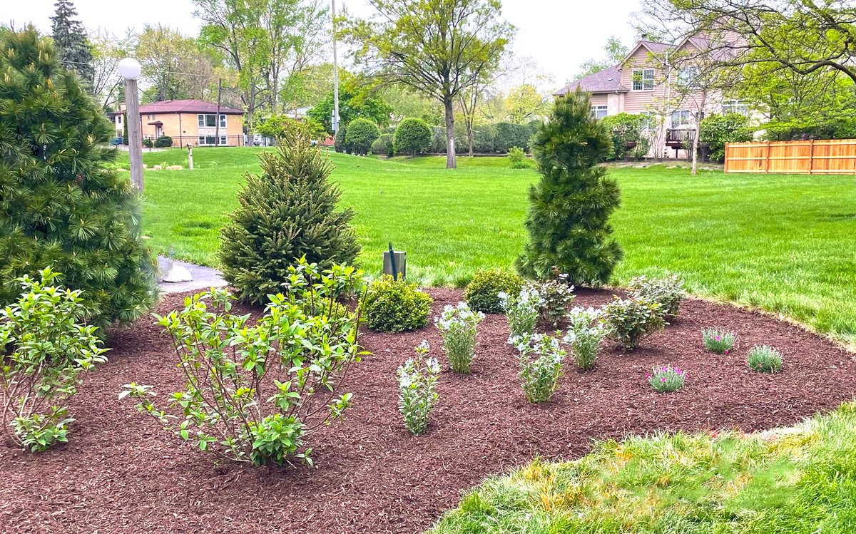 Just like every home, we get super excited when new plants and trees are added to the backyard and fresh mulch is added! 

#BirchesAssistedLiving #birches #assistedlivingcommunity #memorycarecommunity #seniorlivingcommunity #seniorliving #memorycarefacility #assistedliving