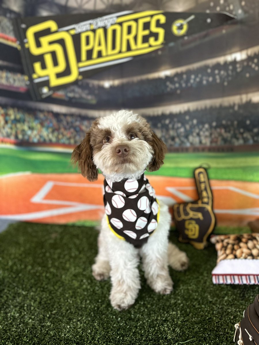 ToriCameron_'s tweet photo. #padrespets @Padres https://t.co/zJ58s9tjOX
