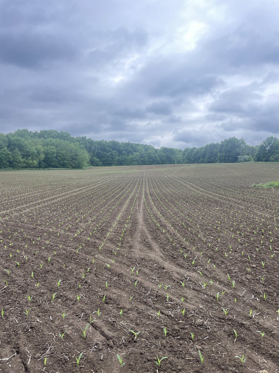 Gavin Spoor tweet media