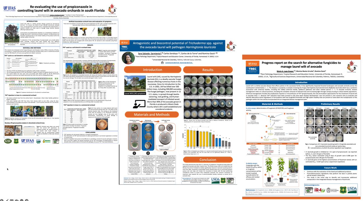Come and see our 4 oral presentations and 3 posters 🤓💪! 🥑🍄🧬🥭🪴🌴