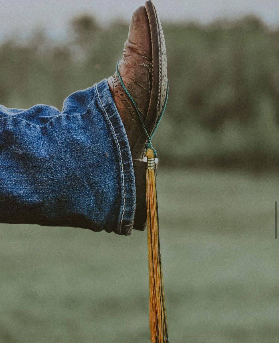 dauphincfest's tweet image. A VERY special #CFEST23 promo is coming up for graduates in Manitoba and Saskatchewan! Tag a MB or SASK grad below 👇so they can get in on the promo! 👀