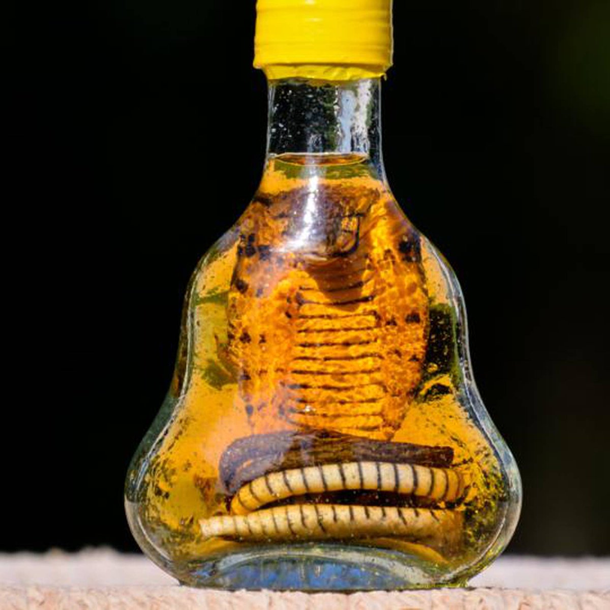 Condomscanada's tweet photo. @JenStDen Just a matter of time until "the Abbotts" will reinvent themselves as "Consultants", only to be inducted into another ministry. But that's just our view. #SnakeOil
#TheAnswerIsHere #PeopleWithPillows #OutYouGo https://t.co/05Jx0zHrSd
