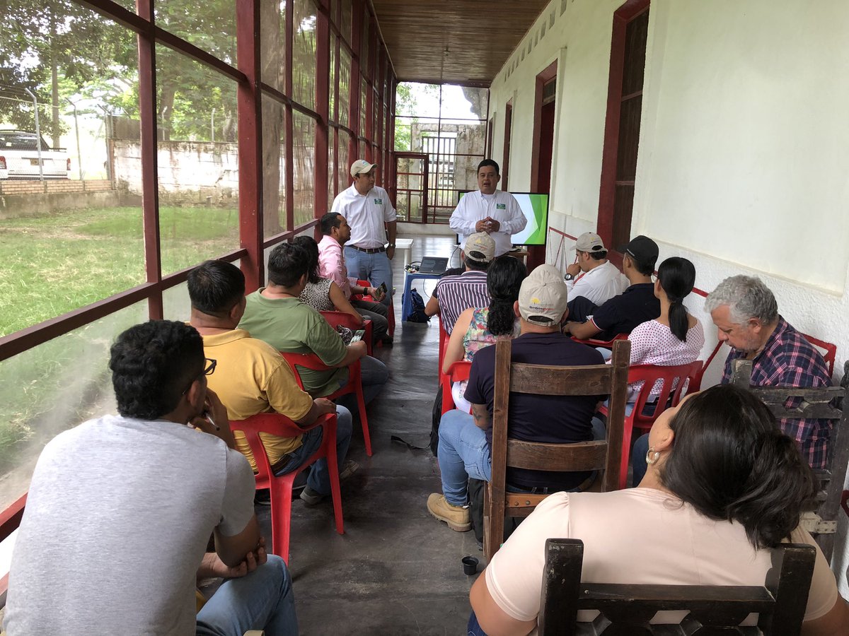 PLpurificacion's tweet image. Día de campo desarrollado en la hacienda Buenos Aíres🐮
Capacitación a los asistentes técnicos municipales previó al desarrollo del proyecto de mejoramiento genético-SSP de la @gobertolima
#ConstruyendoGanadería
@jflafaurie @Fedegan @Pl_hatocorozal @PLCaucasiagan @ProyectoIbague
