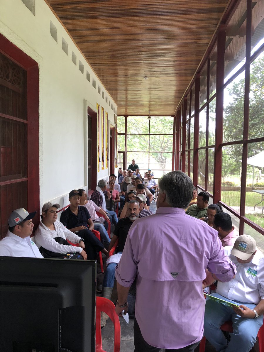 PLpurificacion's tweet image. Día de campo desarrollado en la hacienda Buenos Aíres🐮
Capacitación a los asistentes técnicos municipales previó al desarrollo del proyecto de mejoramiento genético-SSP de la @gobertolima
#ConstruyendoGanadería
@jflafaurie @Fedegan @Pl_hatocorozal @PLCaucasiagan @ProyectoIbague