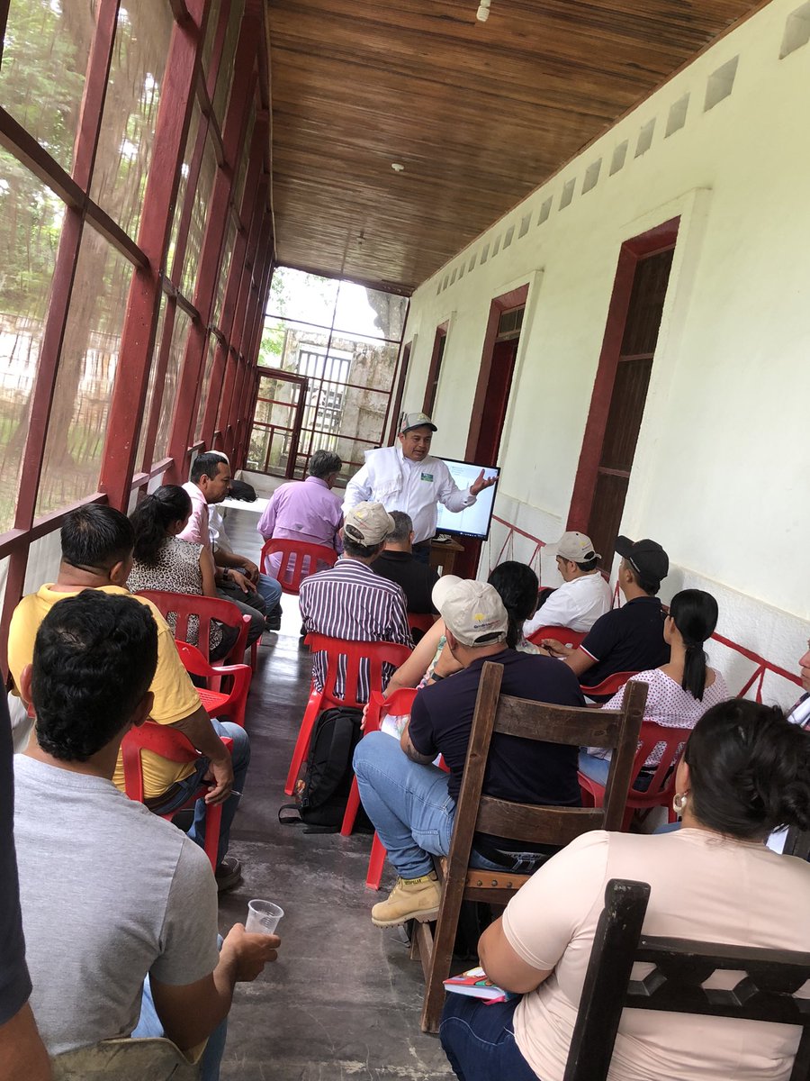 PLpurificacion's tweet image. Día de campo desarrollado en la hacienda Buenos Aíres🐮
Capacitación a los asistentes técnicos municipales previó al desarrollo del proyecto de mejoramiento genético-SSP de la @gobertolima
#ConstruyendoGanadería
@jflafaurie @Fedegan @Pl_hatocorozal @PLCaucasiagan @ProyectoIbague