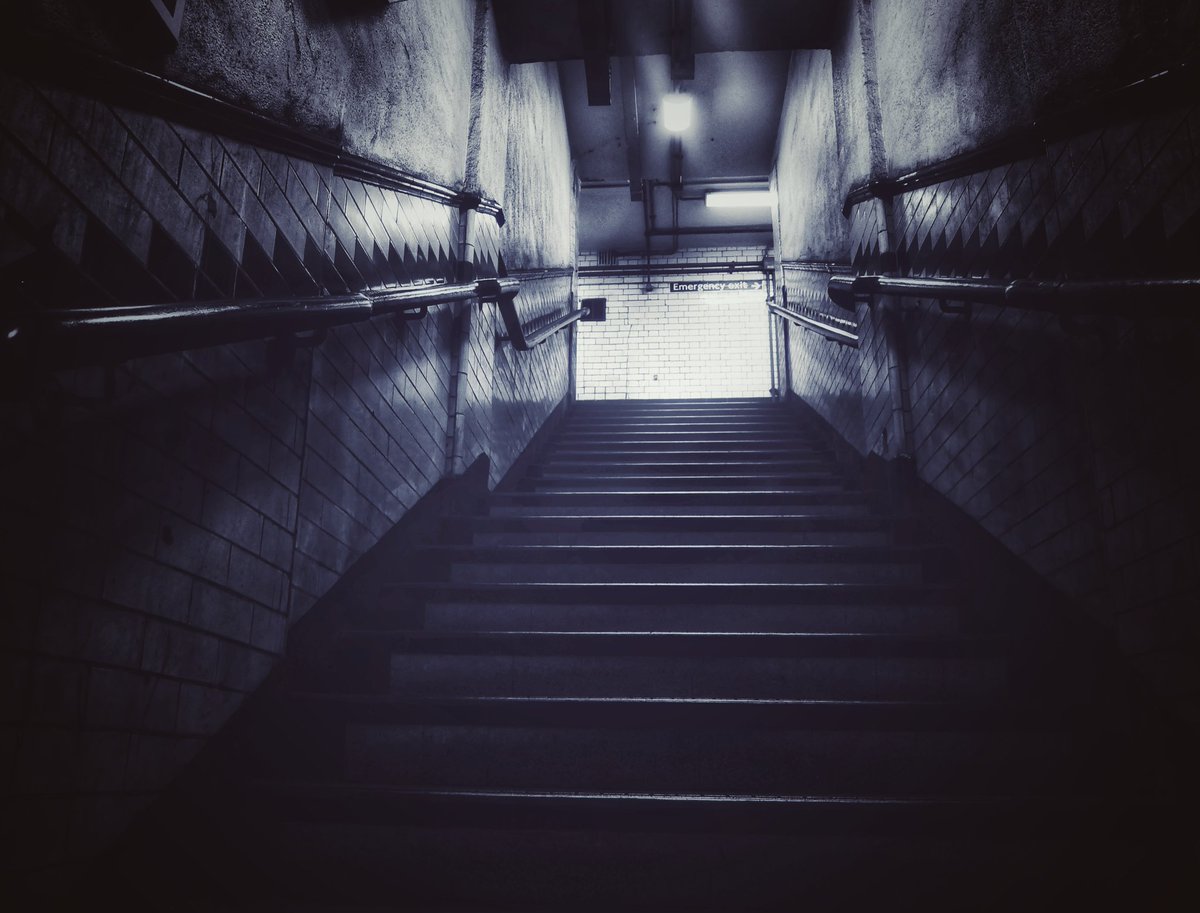 Xross Purposes tweet media