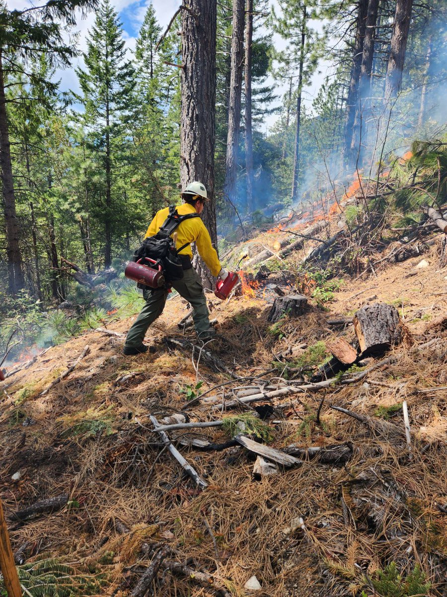 notactiveAFR's tweet photo. Today, crews with @RRSNF met burn objectives and had a slow, cool burn that removed fuels using #goodfire. Check out some photos of the burn that was conducted at high elevation today... https://t.co/zQK7Ka3eR2