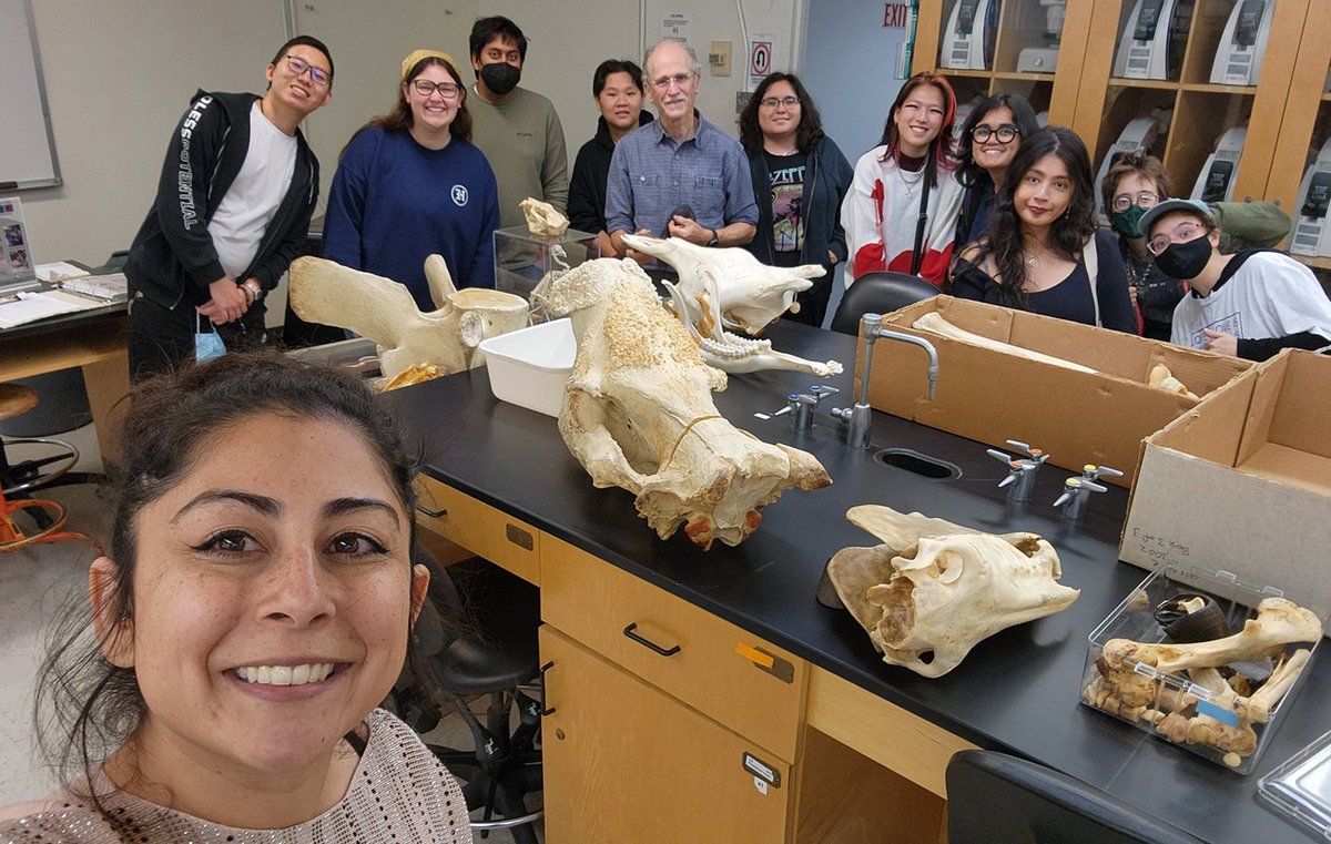 Stephanie Castillo tweet media