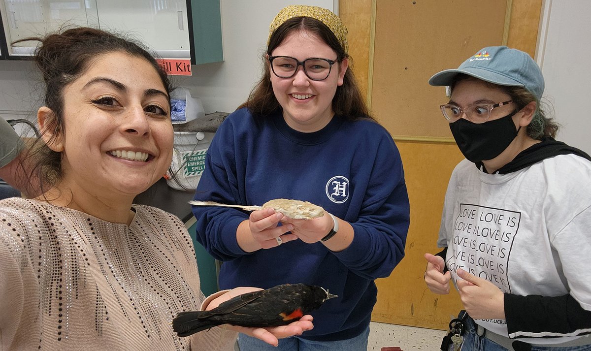 Stephanie Castillo tweet media