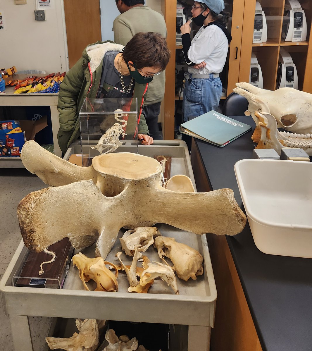 Stephanie Castillo tweet media