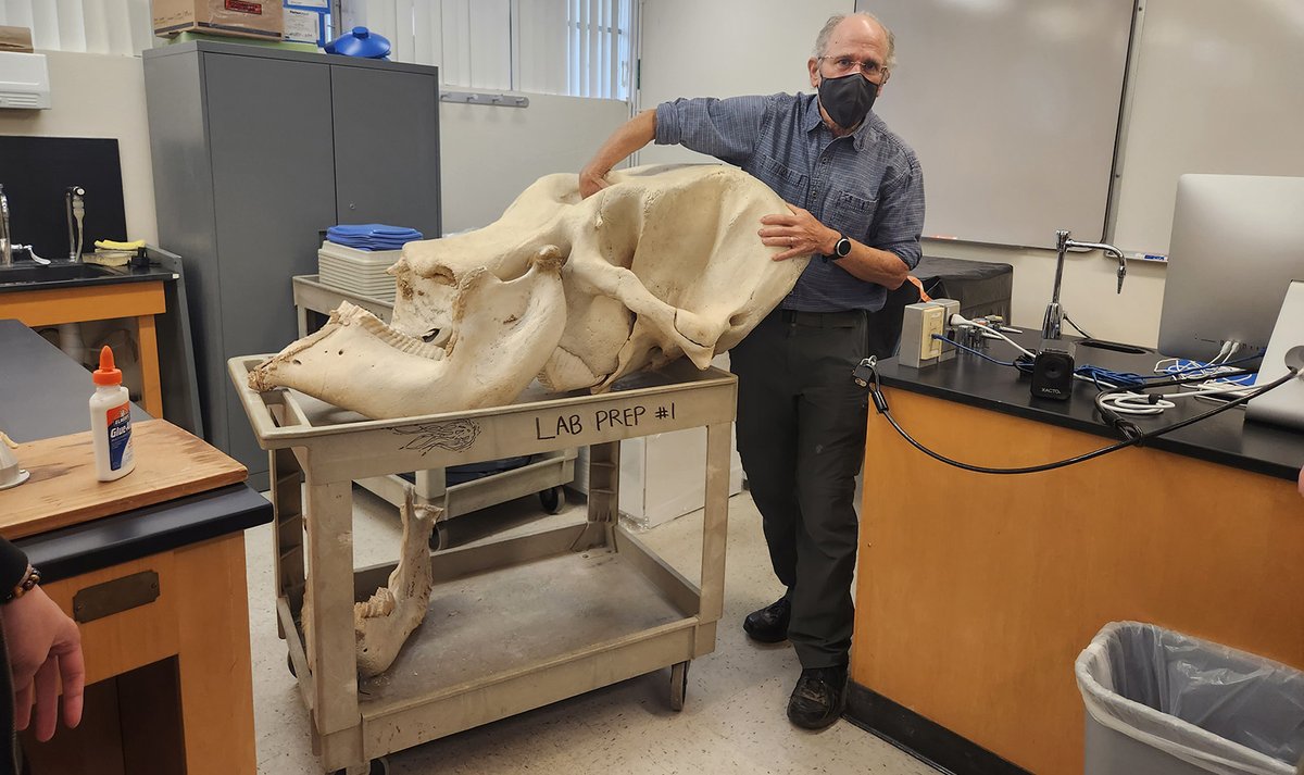 Stephanie Castillo tweet media