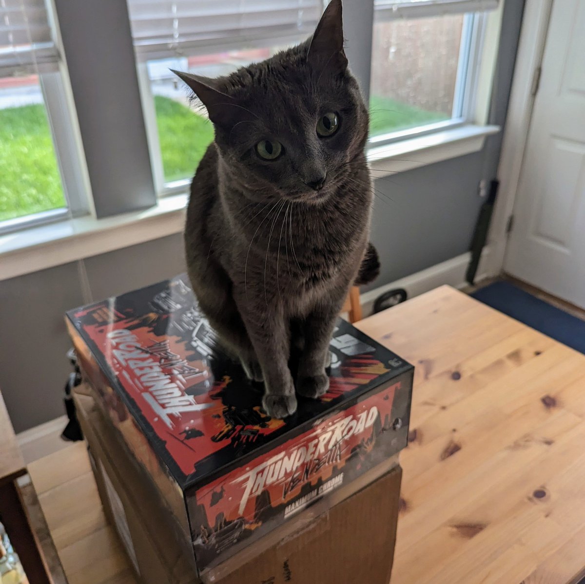 SylLovesBread's tweet photo. I got a new pedestal! It's very shiny. https://t.co/QZwIBbbnjv