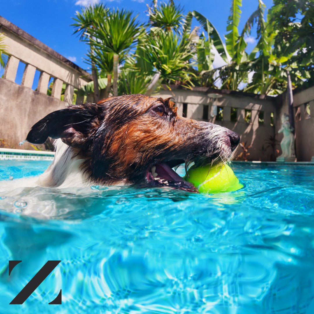 Zander Insurance tweet media