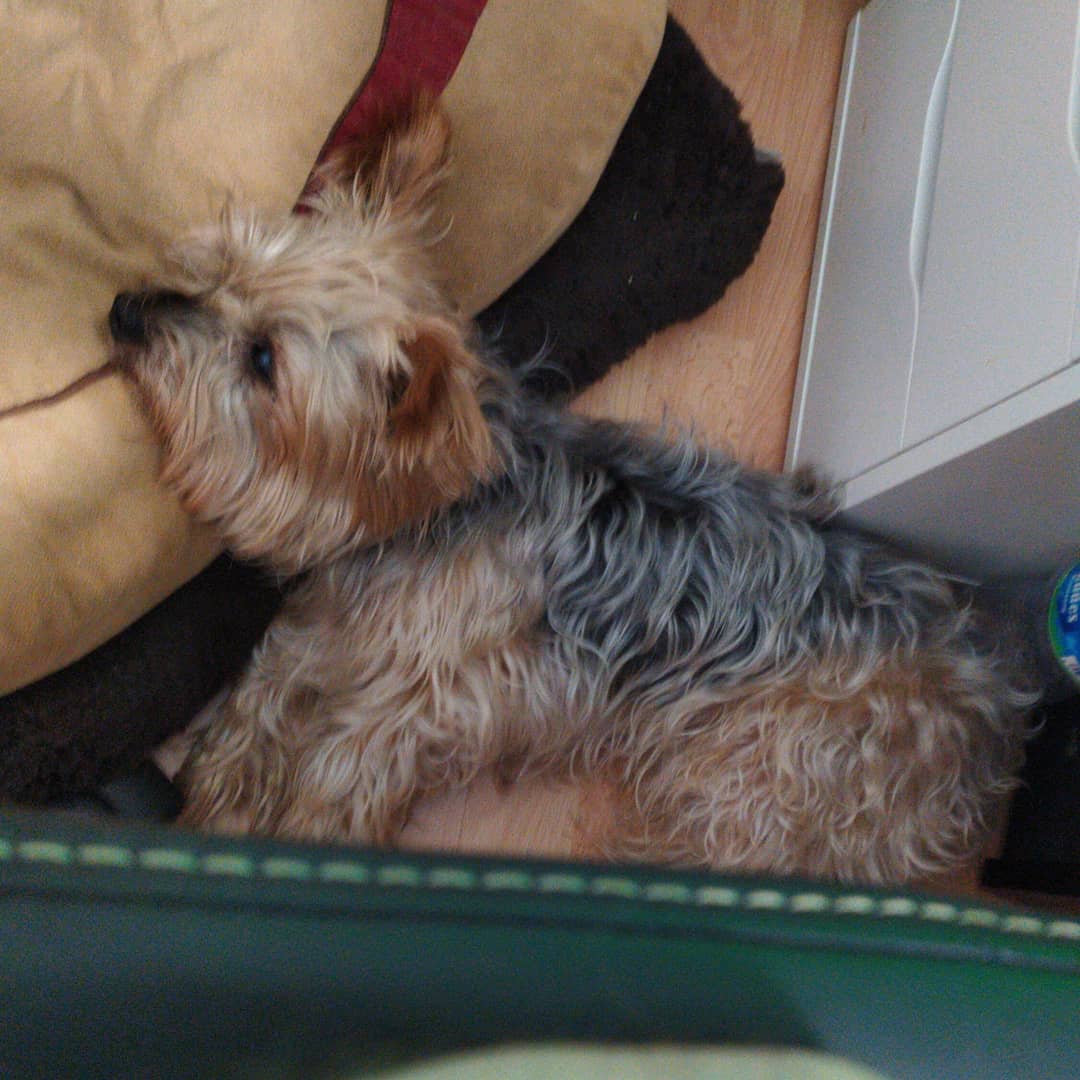 Eric Torres tweet media