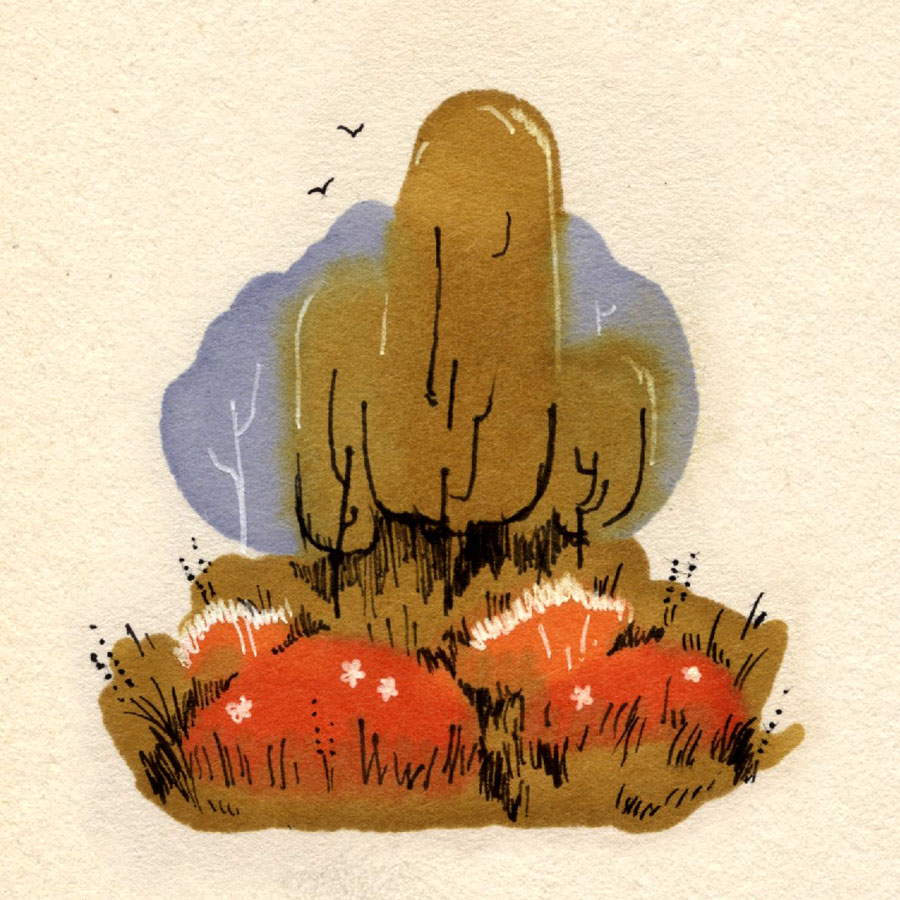 blistermonster's tweet photo. Big feelings about nature lately. #conservation #stewardship https://t.co/Lg10Aw9tBL