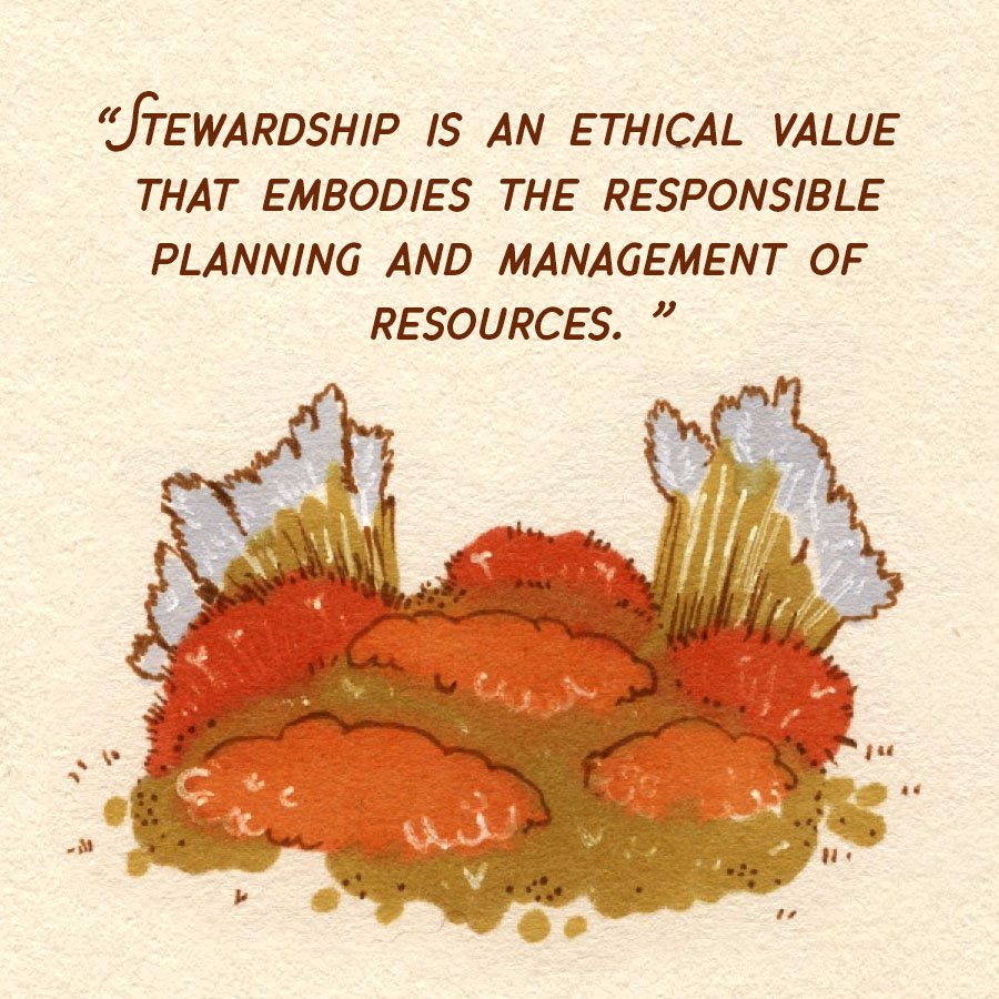 blistermonster's tweet photo. Big feelings about nature lately. #conservation #stewardship https://t.co/Lg10Aw9tBL