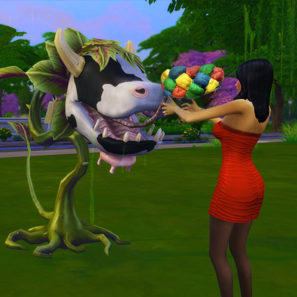 HufflePom's tweet photo. Hi @TheSims I’ve spent the last 462 days asking for Jewish cultural representation in #TheSims4. An SDX w/ Jewish head coverings &amp; foods would be sweet! #TheSims would love challah, babka, Hamantashen &amp; brisket on the menu. Tag a guru to remind them we want this in game! #SimJews https://t.co/SmUWu7A5nP