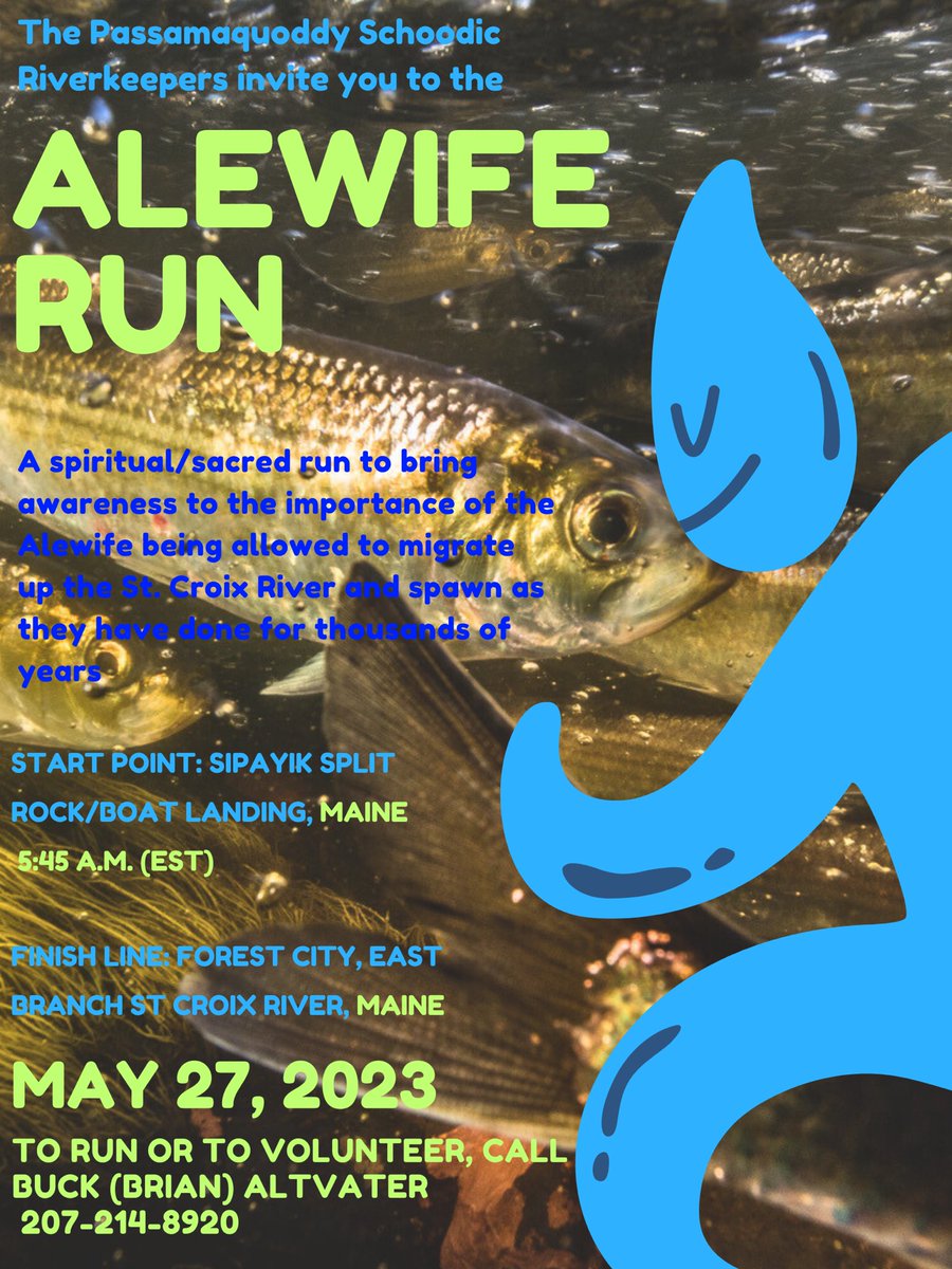 SkutikOffice's tweet photo. Join us on MAY 27, 2023 for a spiritual/sacred rub to bring awareness to the importance of the alewife being allowed to migrate up the St.Croix River and spawn.

START POINT: Sipayik Split Rock/Boat Landing, Maine 5:45AM (EST)

Call 207-214-8920 to run or volunteer!

#marathon https://t.co/idEl9nTNp0