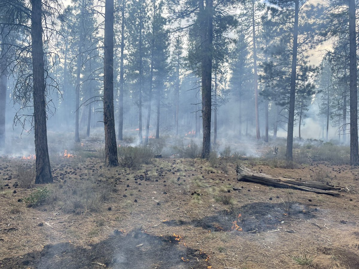 Central OR Fire Info tweet media