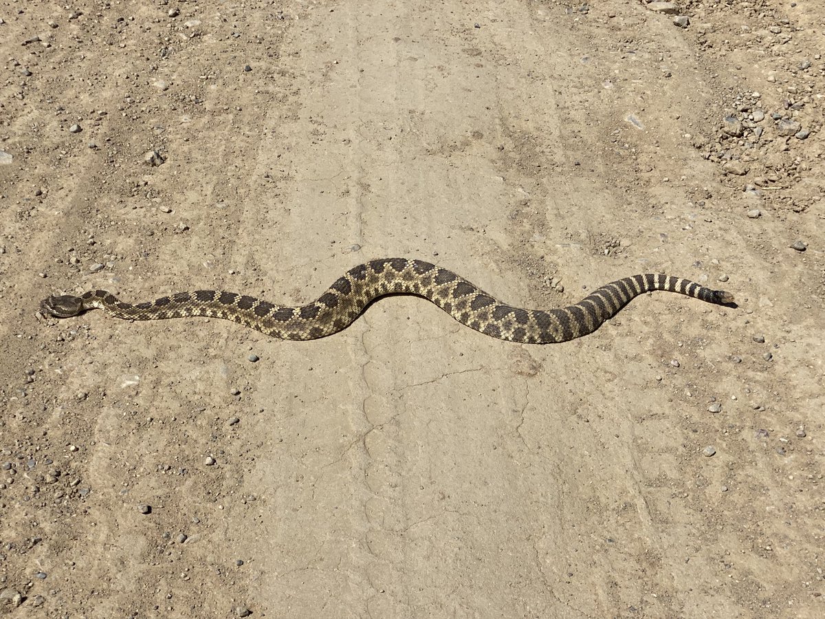 Westside Farmer tweet media