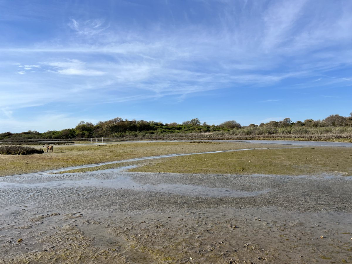 BlockIslandOrganics tweet media