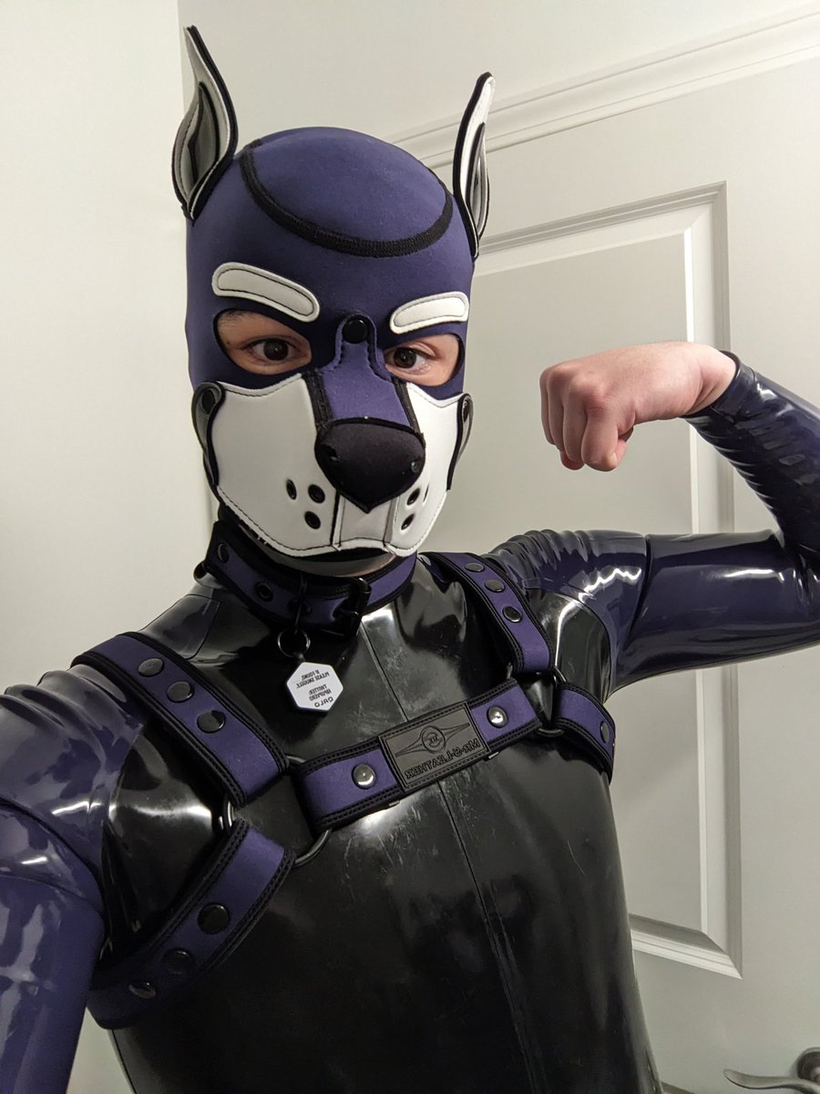 squeaky fun with new friends :)
w/ <a href="/RubberEverett/">Pup Everett</a>