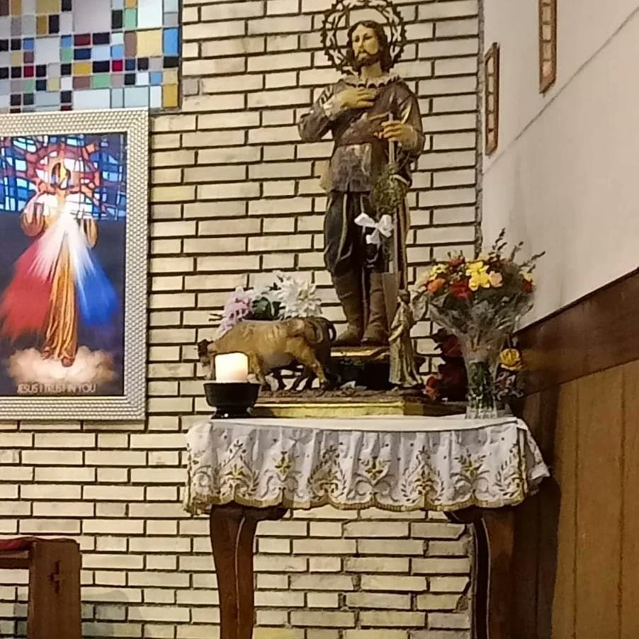 PAR_Sabi's tweet photo. 15 de mayo, San Isidro labrador, patrón de la  #𝗮𝗴𝗿𝗶𝗰𝘂𝗹𝘁𝘂𝗿𝗮 y la #𝗴𝗮𝗻𝗮𝗱𝗲𝗿𝗶́𝗮
Y si alguien 𝘀𝗮𝗯𝗲 de estos temas y del 𝗺𝘂𝗻𝗱𝗼 𝗿𝘂𝗿𝗮𝗹 es @PacoSantolaria
¡𝗤𝘂𝗲́ 𝘀𝘂𝗲𝗿𝘁𝗲 𝗽𝗼𝗱𝗲𝗿 𝗰𝗼𝗻𝘁𝗮𝗿 𝗰𝗼𝗻 𝗲́𝗹 𝗲𝗻 𝗻𝘂𝗲𝘀𝘁𝗿𝗼 𝗽𝗿𝗼𝘆𝗲𝗰𝘁𝗼! https://t.co/XxXiIVd5ca