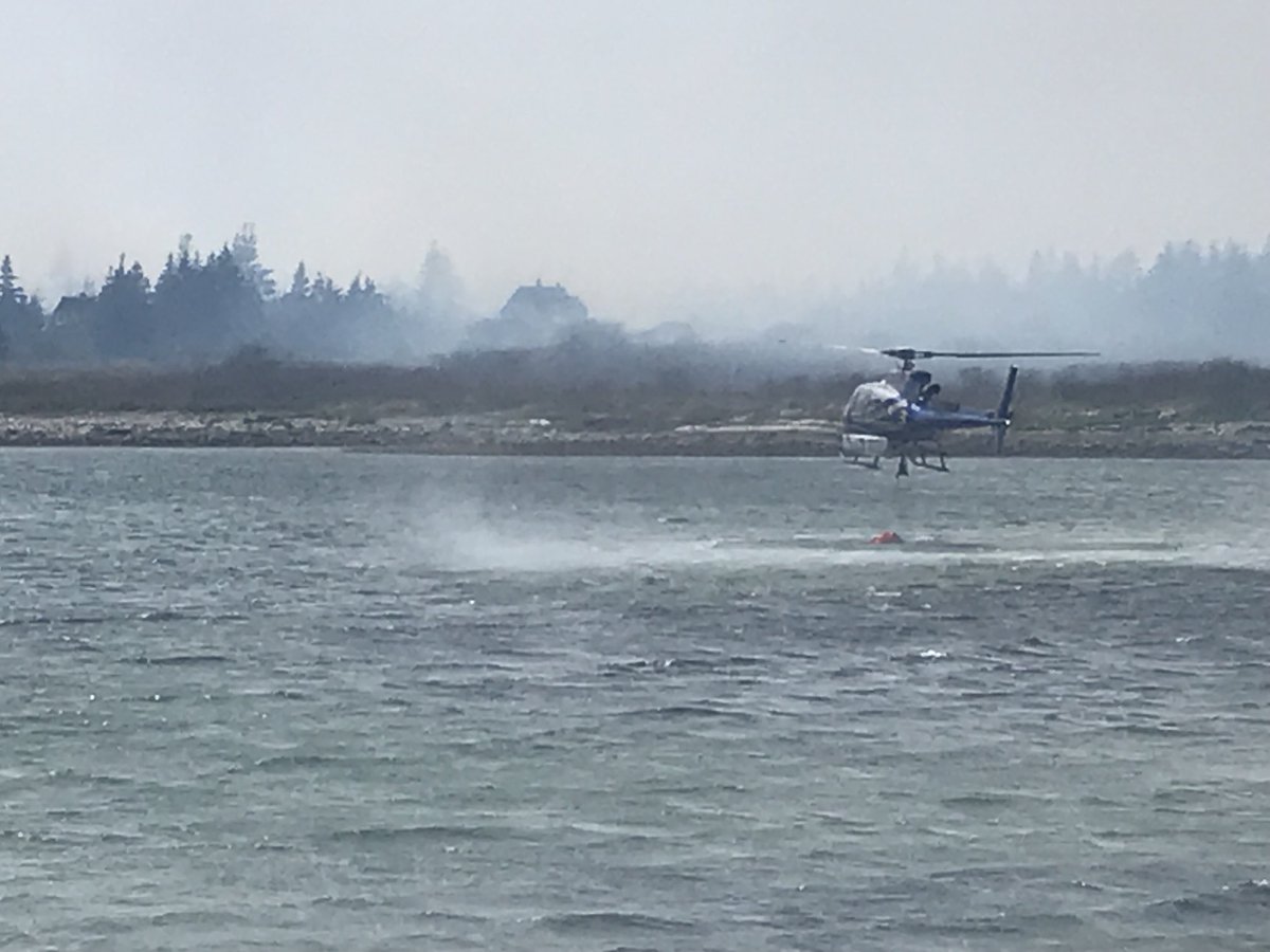 Jonathan MacInnis tweet media